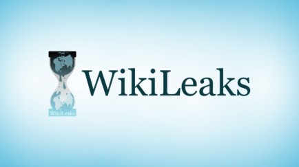 wikileaks.jpeg
